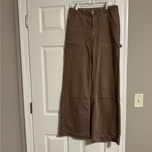 American Eagle Outfitters Brown Wide-Leg Pants
